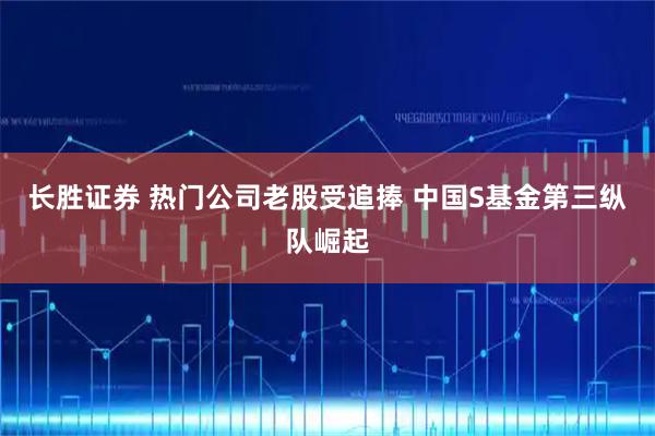 长胜证券 热门公司老股受追捧 中国S基金第三纵队崛起