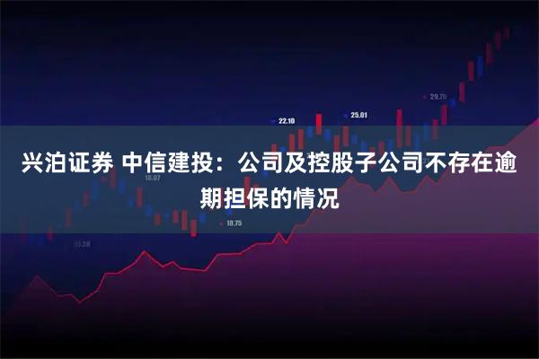 兴泊证券 中信建投：公司及控股子公司不存在逾期担保的情况
