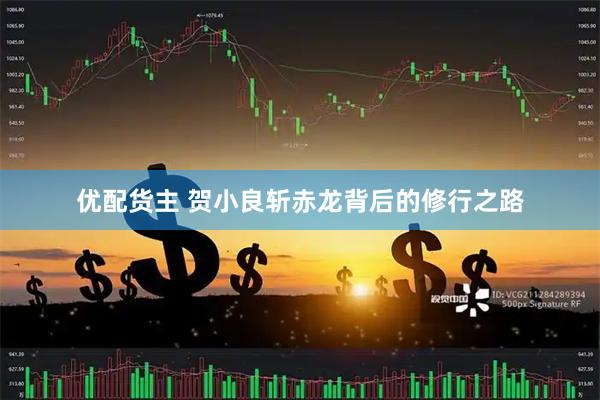 优配货主 贺小良斩赤龙背后的修行之路